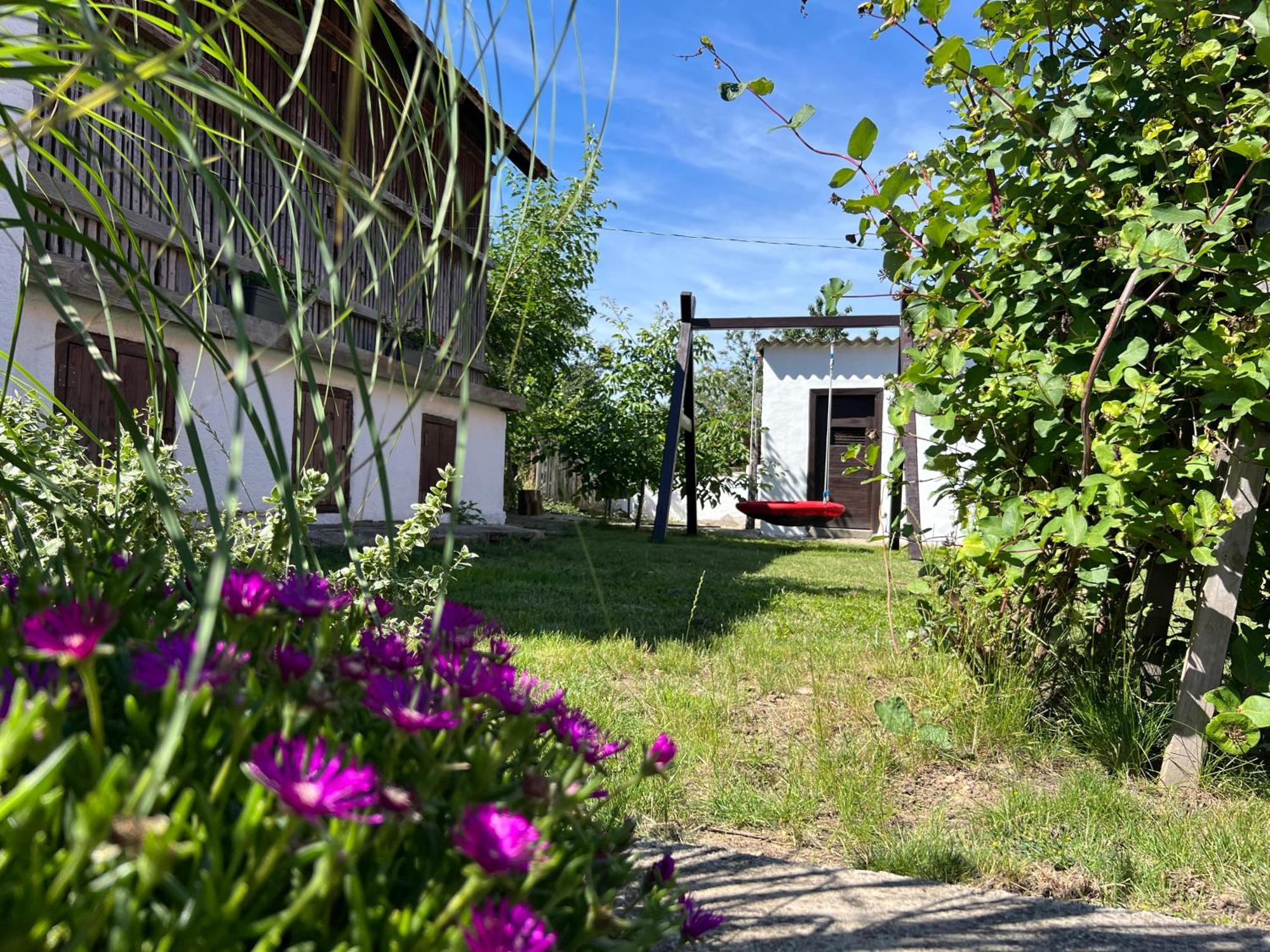 Nest Apartman Balatonszarszo Exterior foto